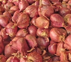 Shallots Small Onion Pearl Onion Meaning And Translation In Malayalam Tamil Kannada Telugu Hindi Bengali Gujarati Marati Oriya And Punjabi Pachakam Com