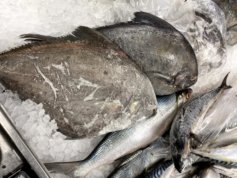 Black Pomfret Fish name in Malayalam