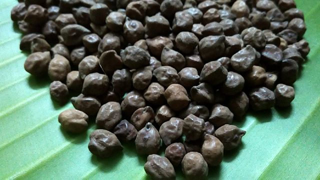 Kala Chana (Black Chickpea)